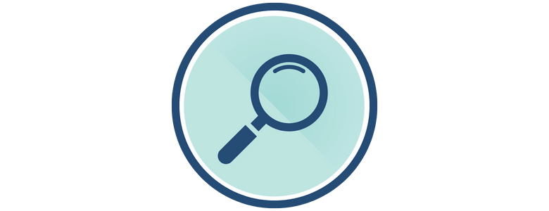 Selection CIO Executive Search - Icon